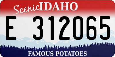 ID license plate E312065