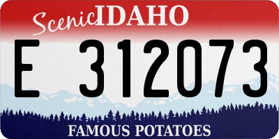 ID license plate E312073