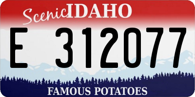 ID license plate E312077