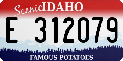ID license plate E312079