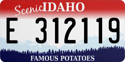 ID license plate E312119
