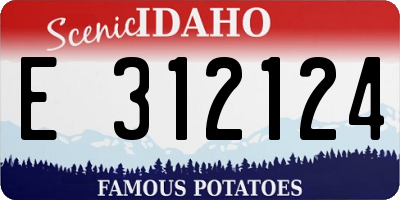 ID license plate E312124