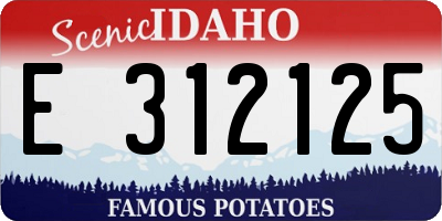 ID license plate E312125