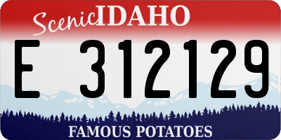 ID license plate E312129