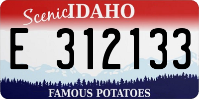 ID license plate E312133