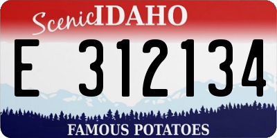 ID license plate E312134