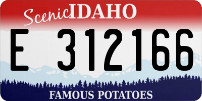 ID license plate E312166