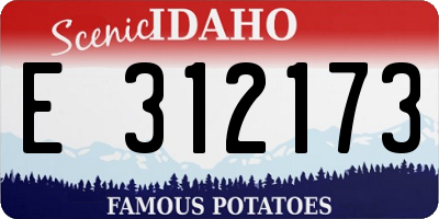 ID license plate E312173