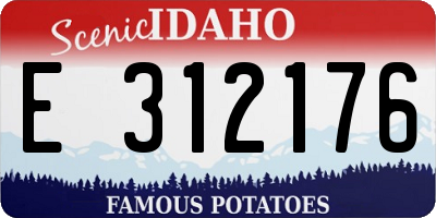 ID license plate E312176
