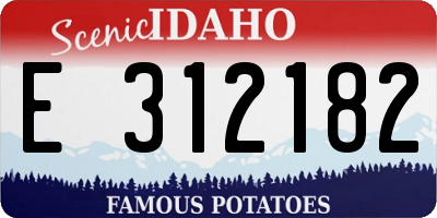 ID license plate E312182