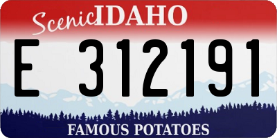 ID license plate E312191