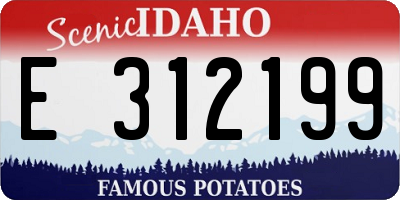 ID license plate E312199