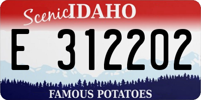 ID license plate E312202