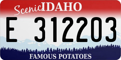 ID license plate E312203