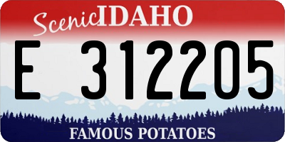 ID license plate E312205