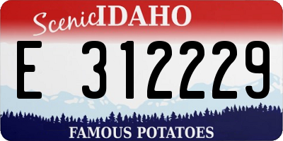 ID license plate E312229