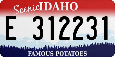 ID license plate E312231