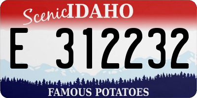 ID license plate E312232