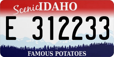 ID license plate E312233