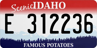 ID license plate E312236