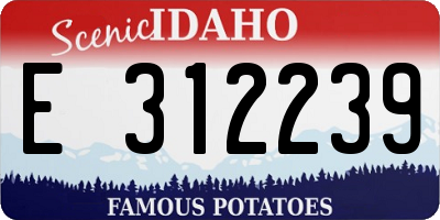 ID license plate E312239
