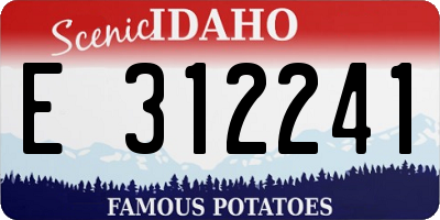 ID license plate E312241