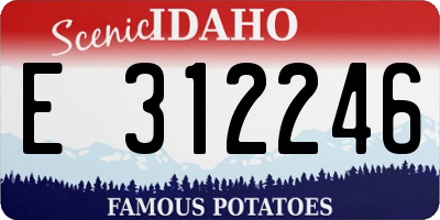 ID license plate E312246
