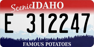 ID license plate E312247