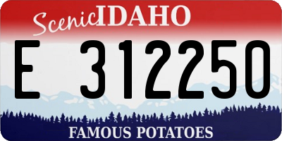 ID license plate E312250
