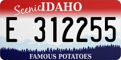 ID license plate E312255