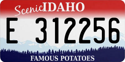 ID license plate E312256