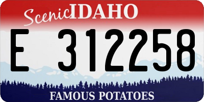 ID license plate E312258