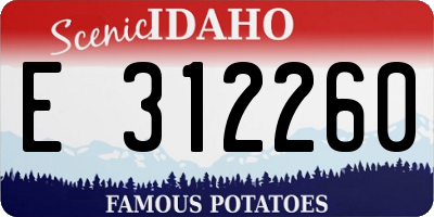 ID license plate E312260