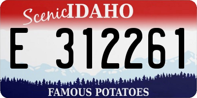ID license plate E312261