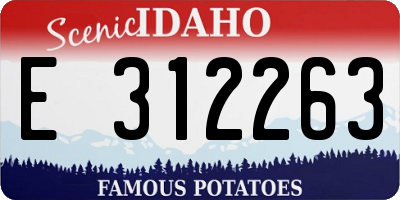 ID license plate E312263