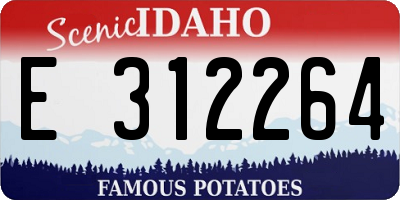 ID license plate E312264