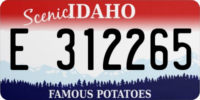 ID license plate E312265