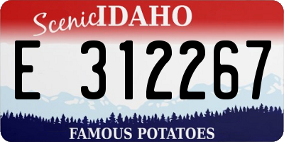 ID license plate E312267