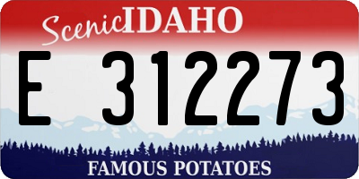 ID license plate E312273