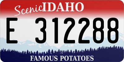 ID license plate E312288