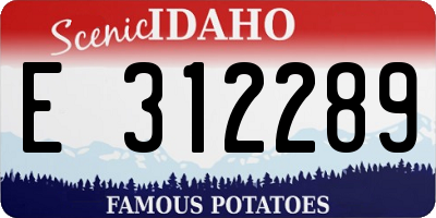ID license plate E312289