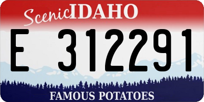 ID license plate E312291