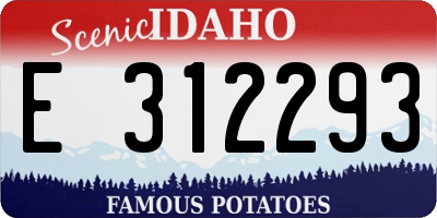 ID license plate E312293