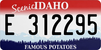 ID license plate E312295