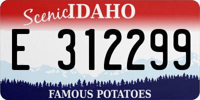 ID license plate E312299