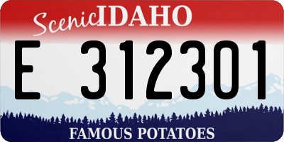 ID license plate E312301