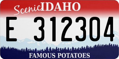 ID license plate E312304