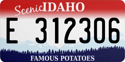 ID license plate E312306