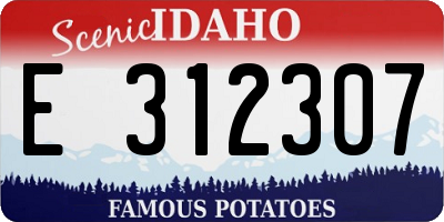 ID license plate E312307