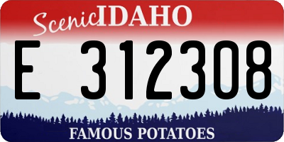 ID license plate E312308